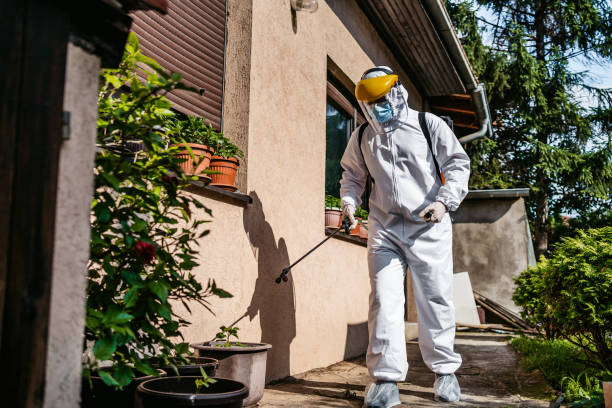 Professional Pest Control in Sandy Springs, GA