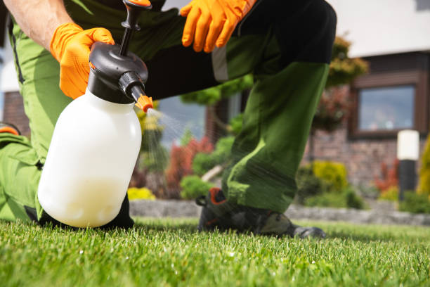 Best Residential Pest Control  in Sandy Springs, GA