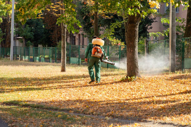 Best Pest Control for Homes  in Sandy Springs, GA