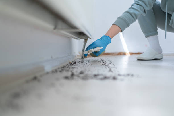 Best Pest Prevention Services  in Sandy Springs, GA